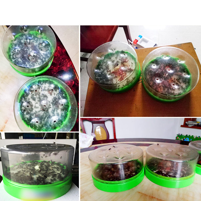 Reusable fly trap—no electricity, no poison! 🏠 Safe to use in the kitchen and around children and pets